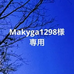 専用です