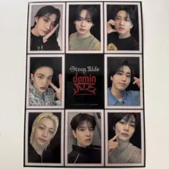 ムビチケ Stray Kids ステッカー 全員 購入特典