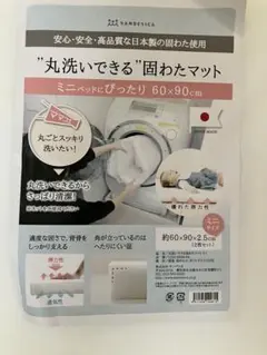SANDESICA 丸洗いできる固わたマット ミニサイズ　60×90サイズのサムネイル