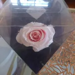 ビジュー付きピンクローズプリザーブドフラワー