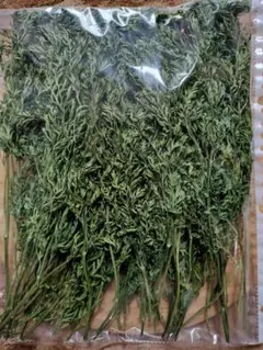 Item thumbnail for item 2bec42de-e2d9-4b7c-904c-2e1067d583f8