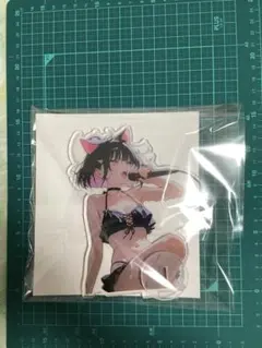 user_e6f47b43様 リクエスト 2点 まとめ商品