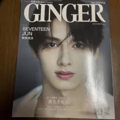 【お値下げ不可 レア】SEVENTEEN ジュン GINGER