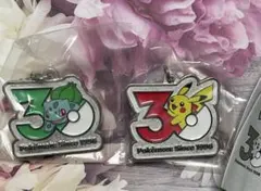 ポケモン 30周年 メタルチャームマスコット ピカチュウ　フシギバナ　2個