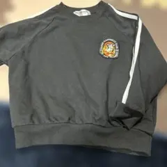 ルルモーメント　トレーナー110