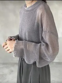 SHIEN FRIFUL ラウンドネック メッシュオーバーレイ シアーブラウス