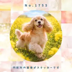 Item thumbnail for item 3bcc8a1b-0e39-4d41-99bf-5d8613ed63ba