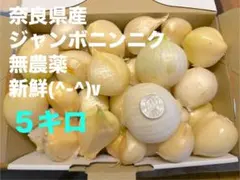 奈良県産　ジャンボニンニク5キロ‼︎のサムネイル