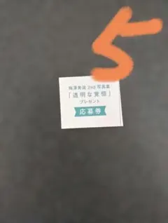 応募券　５枚　乃木坂46 梅澤美波2nd写真集 透明な覚悟