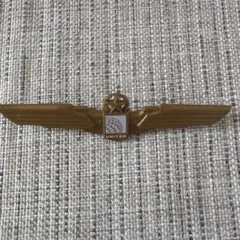 激レア!★エアバス【AIRBUS】ピンバッチ 非売品 航空機 希少 関係者用 ピンバッジ JAL ANA 全日空 A380 ノベルティ グッズ 貴重 入手困難品 2025年最新Yahoo!オークション -エアバス ピンバッチの中古品・新品