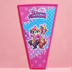 ディズニー　パルパルーザ　ミニー　ワッペンアクセサリー　チップとデール