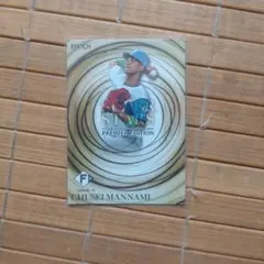 Item thumbnail for item 660e23db-d6d2-499a-b893-b98c2de4c8f4