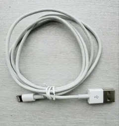Apple純正品　Lightning ケーブル