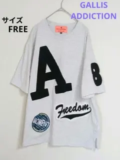 GALLIS ADDICTION 大きめTシャツ グレー 刺繍 サイズFREE