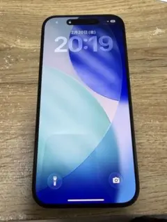 【e.g.様】iPhone15pro 256GB ブラックチタニウム 本体