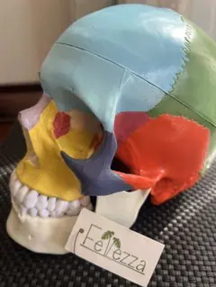 Item thumbnail for item 86845f54-eced-4762-b454-f1a0b997ffb7