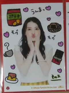 矢島舞美　コレクション生写真