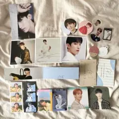 SEVENTEEN セブチ ドギョム 封入 まとめ売り セット