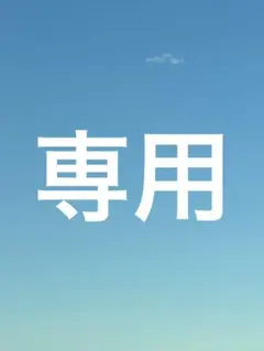 【専用】ちーちゃん56さま