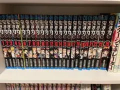 鬼滅の刃　全巻　特装版（未開封）　全24冊　フィギア　セット　初版あり 鬼滅の刃 全巻 特装版（未開封） 全24冊 フィギア セット 初版