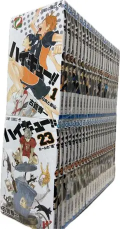 もも様専用ハイキュー!! ＋ 33.5巻（2冊）　20251107