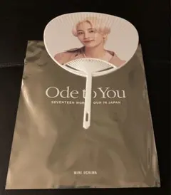 SEVENTEEN Oda to You JEONGHAN ミニうちわ