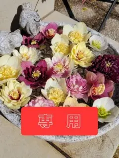 白薔薇様　追加送料分