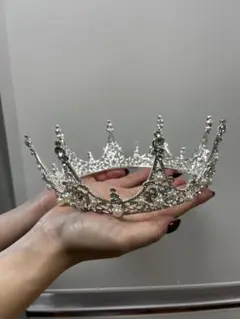 エレガントシルバークラウン