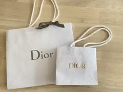 Dior ギフト袋 大小セット