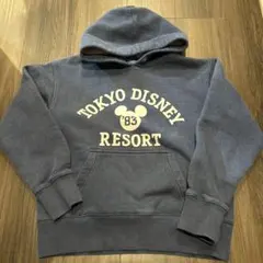 ディズニーリゾート