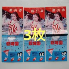 記念 四国 レジャー ゾーン 巨峰園 割引券 3枚セット 有効期限切れ 記念