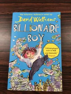 Billionaire Boy / David Walliams