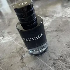 Dior SAUVAGE 男性用香水　ソバージュ　ディオール