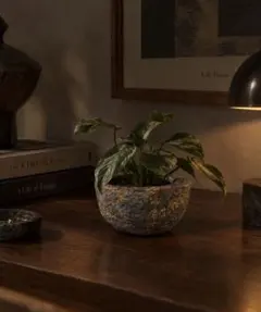 植木鉢 プランター まだら模様 観葉植物 モルタル