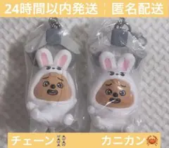 straykids スキズ skzoo つまつな ハン ハンクォッカ