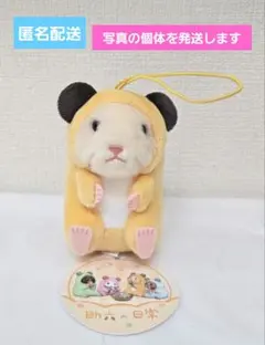 助六の日常　パジャママスコットのサムネイル