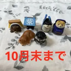 柴犬 フィギュア 6種セット ガチャ