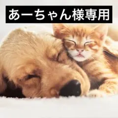 あーちゃん様専用