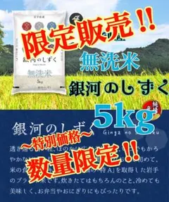 お米　数量限定！無洗米【岩手県産無洗米銀河のしずく5kg】8年連続特A！のサムネイル