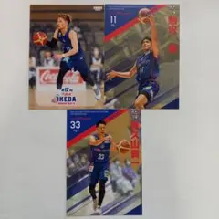 Item thumbnail for item bb4055a6-1ba0-45a9-b1be-490f48ec1f61