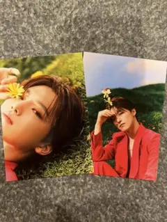 seventeen sector17 KIT キノ フォトカード ディノ