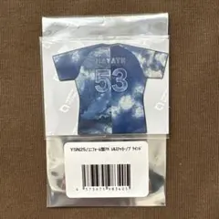 Item thumbnail for item a1a90894-1c48-4937-9813-546554944023