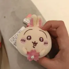 2026年最新】miniso ちいかわ ぬいぐるみの人気アイテム - メルカリ