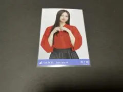 乃木坂46 全ツ2025 静岡　メッシュニット　井上和　チュウ　生写真