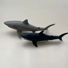 Item thumbnail for item 7e56cfa8-df4b-4d7b-897f-69b2e775d4d4