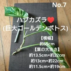 メル41781様 リクエスト 2点 まとめ商品