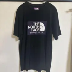 THE NORTH FACE PURPLE LABEL ノースフェイス　ロゴT