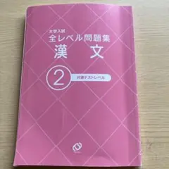 大学入試 漢文 2 共通テストレベル