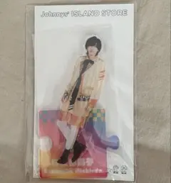 【新品未開封】道枝駿佑 アクスタ 21´夏 セット売り可