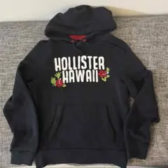 HOLLISTER パーカー